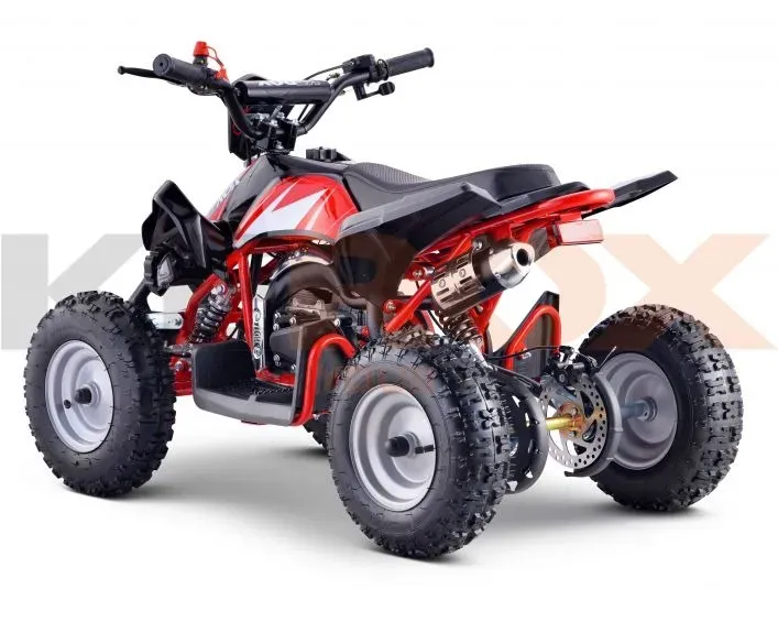 Kerox - Pocket Quad Thermique 49 cm³ Rex BW6 (5)webp