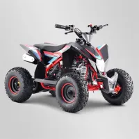 Apollo Motors - Quad enfant FOX 110 cm³ (5)webp