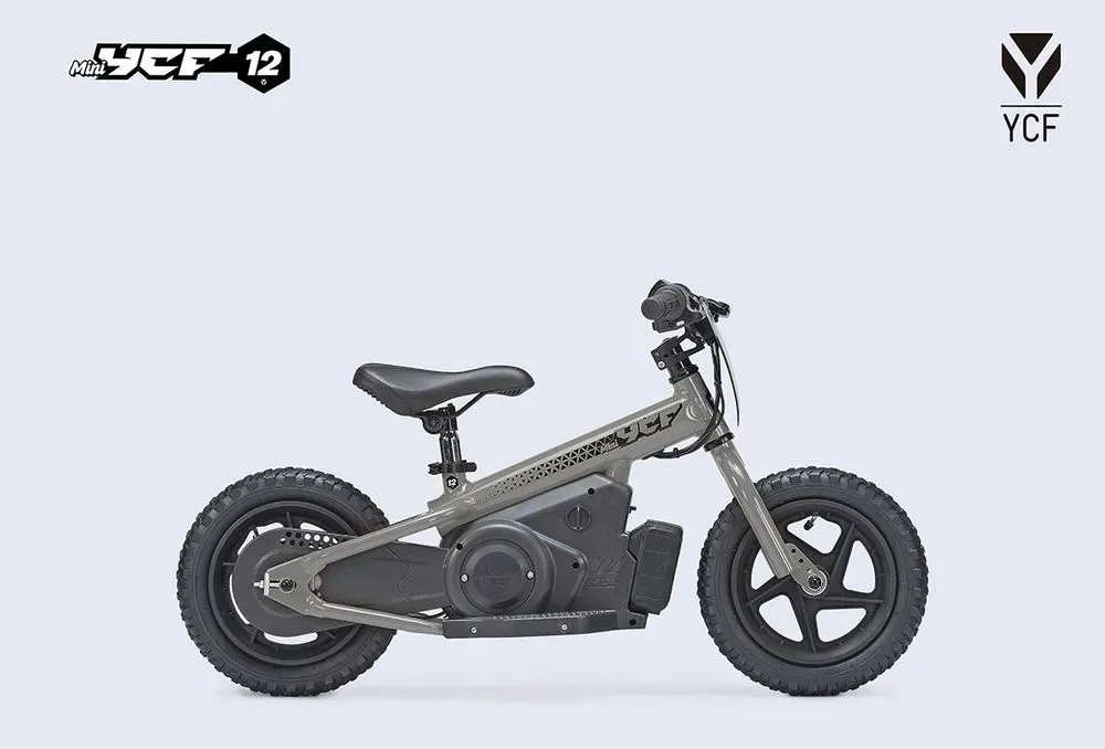 large_Mini_YCF_12_GY_6_f099bbac24 (1)