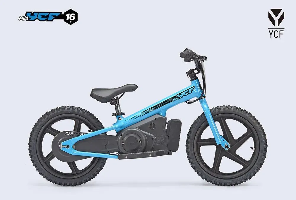 large_Mini_YCF_16_BLY_6_bcf724b5d3