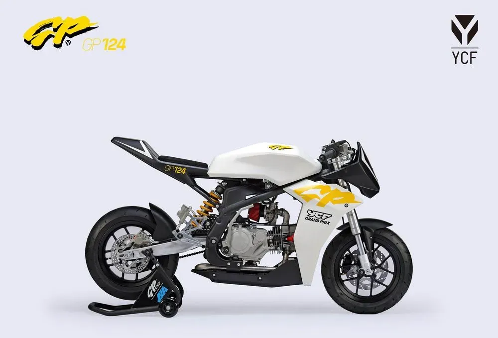 large_25_GP_124_STD_6_76326f5c01