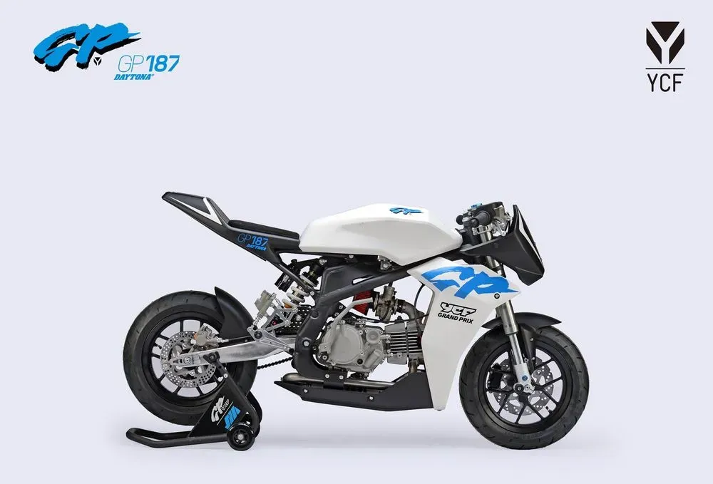 large_25_GP_187_STD_6_419de61ba6